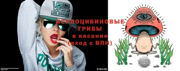 спиды Алзамай