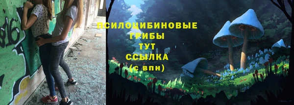 спиды Алзамай